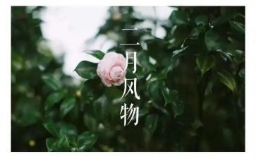 幼儿园二月份工作总结6篇