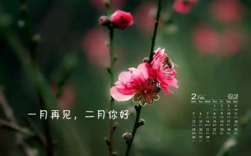 小班十二月工作总结6篇