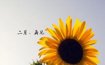 第二月工作总结7篇