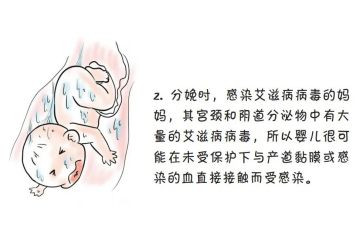 防艾作文800字6篇