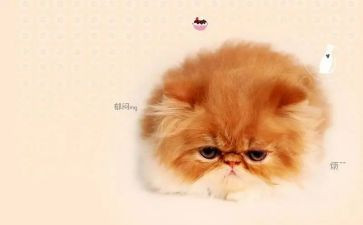 我的烦恼作文600字优秀作文5篇