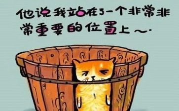 2024年工作总结反思精选8篇