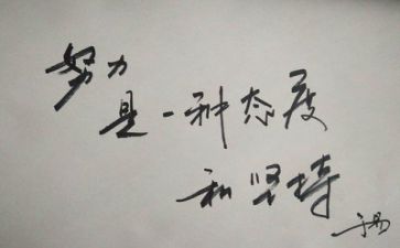 2.0个人总结反思优秀5篇