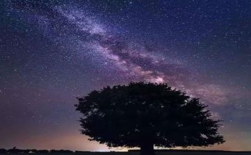 繁星春水读书心得8篇