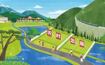 优化发展环境的工作总结7篇