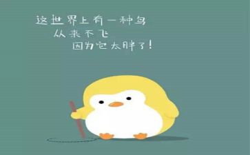2024年土肥工作总结7篇