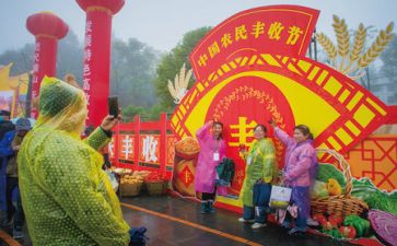 丰收节活动总结5篇