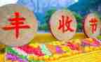 丰收节作文8篇