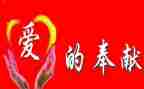 有关爱心或奉献的演讲稿7篇