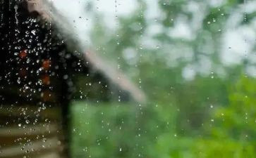 面对风雨作文优质6篇