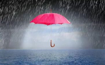 风雨中的…作文6篇