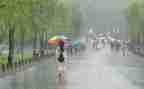 暴风雨的作文600字8篇