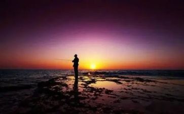 付出与收获的演讲稿7篇