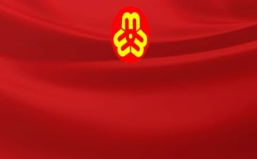 2024年妇联工作个人总结6篇