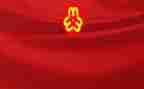 2024年妇联工作个人总结6篇