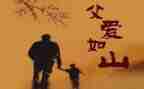 我的父亲作文参考5篇