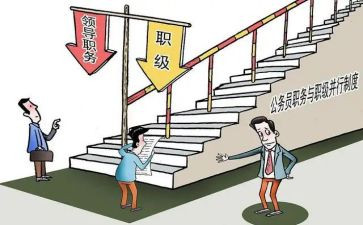 部门副职的述职报告8篇