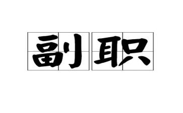 2024年副职述职述廉报告范文5篇