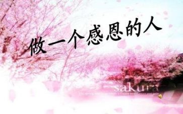 感恩的优秀演讲稿通用7篇