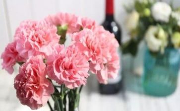 老师的感恩演讲稿7篇