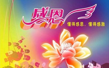感恩的老师演讲稿最新6篇
