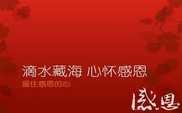 关于感恩的心的作文7篇