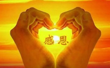 感恩账心得体会参考5篇