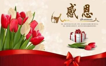 感恩教师的演讲稿优质5篇