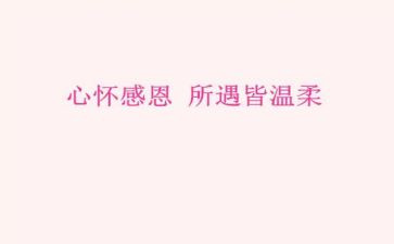 关于感恩老师的演讲稿精选5篇