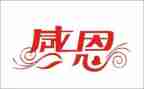 写感恩老师的作文500字7篇