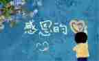 我感恩作文800字作文优秀7篇