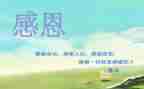 我感恩我600字作文7篇