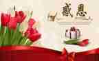 感恩教师的演讲稿优质5篇