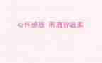 关于感恩老师的演讲稿精选5篇
