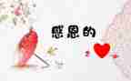 他感激我作文600字最新5篇