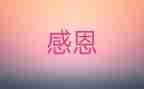 我很感激她作文作文6篇