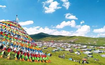 甘南支教心得体会优质5篇