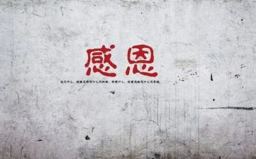 感谢您教师的演讲稿推荐6篇