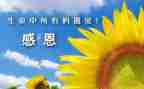 关于感谢的作文600字6篇