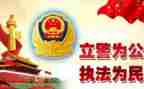 公安2024工作总结参考6篇