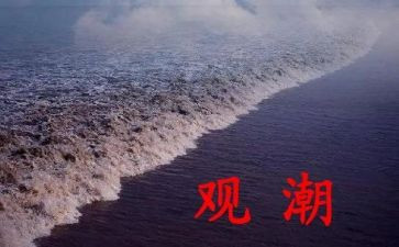 读了观潮心得体会总结优秀8篇
