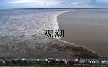 观潮的教学反思参考6篇