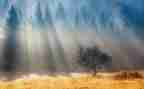写阳光作文优质6篇