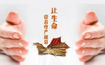 关怀活动方案6篇