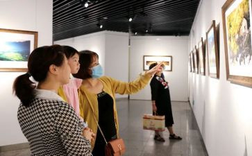 观展心得体会范文模板7篇