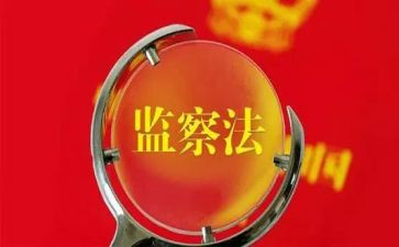 监察队的工作总结范文7篇