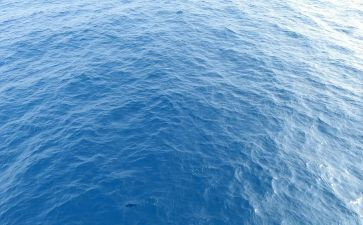 海淘市场调研报告范文7篇
