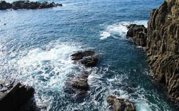 海淘市场调研报告范文通用6篇