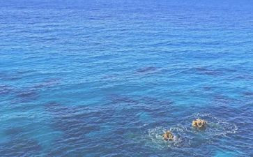 海低两万里读后感7篇