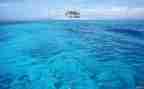 海南作文优秀7篇